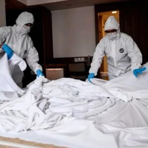 Hotel & Hospitality Bed Bug Removal