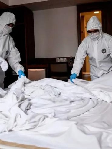 Hotel & Hospitality Bed Bug Removal