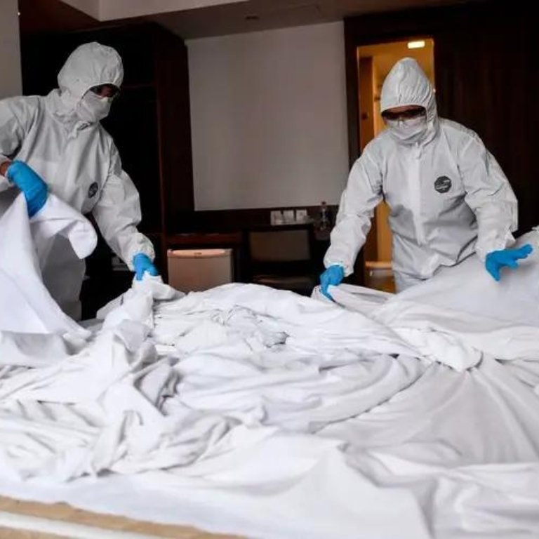 Hotel & Hospitality Bed Bug Removal