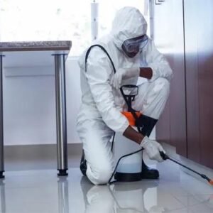 Bed Bug Heat Treatment Bradford