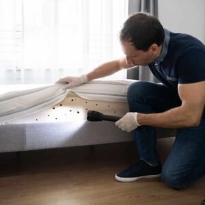 Bed Bug Heat Treatment Sheffield