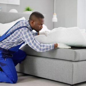 Commercial Bed Bug Heat Treatment