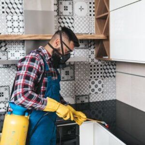 Bed Bug Heat Treatment Wakefield