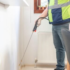Chemical-Free Bed Bug Elimination