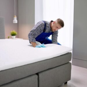 Residential Bed Bug Heat Treatment
