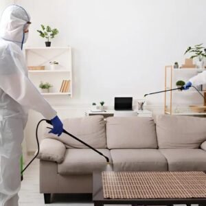 Commercial Bed Bug Heat Treatment