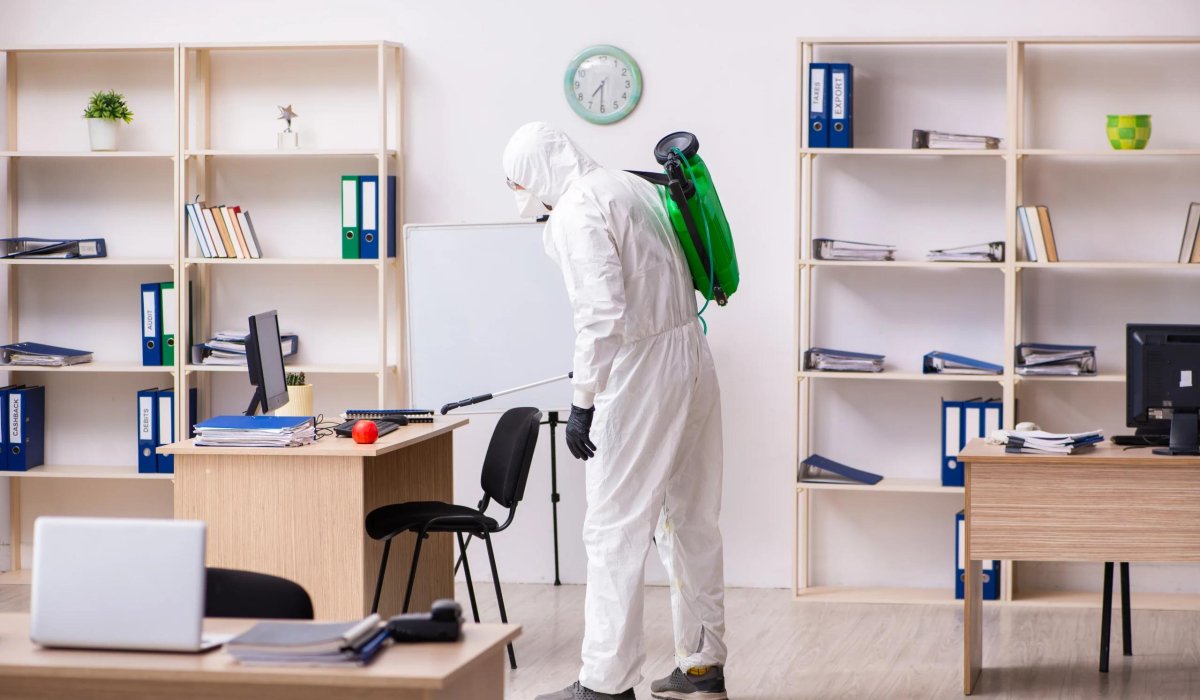 Commercial Bed Bug Heat Treatment