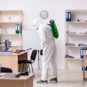 Commercial Bed Bug Heat Treatment