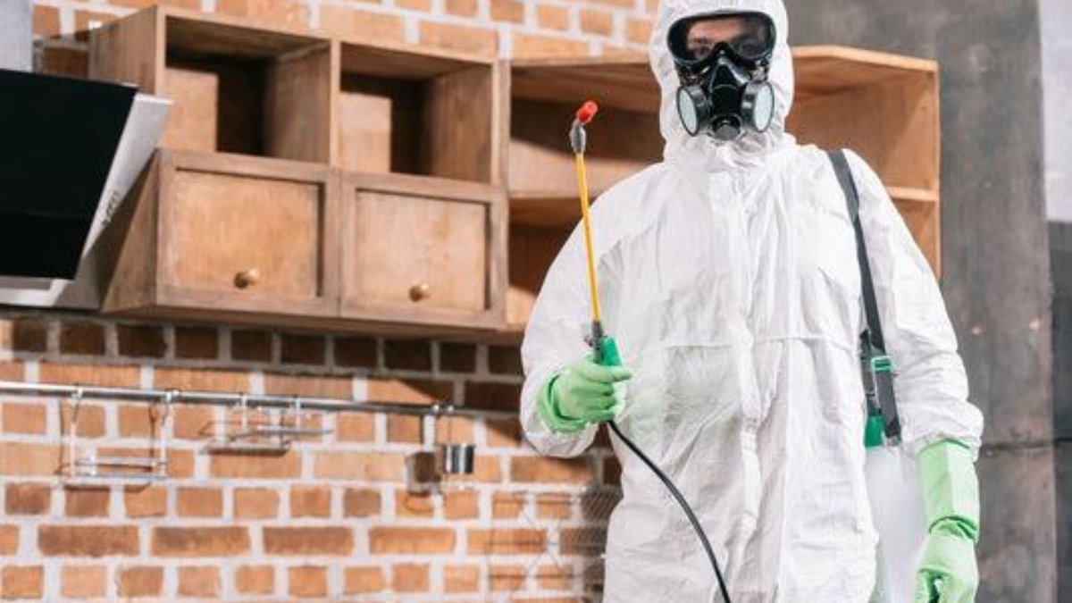 Apartment & Flat Heat Treatment