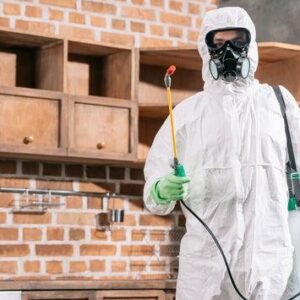 Apartment & Flat Heat Treatment