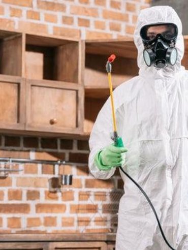 Apartment & Flat Heat Treatment