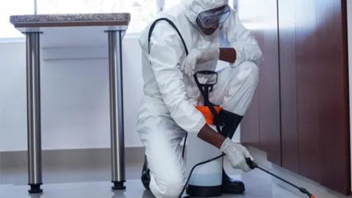 Student Accommodation Bed Bug Treatment