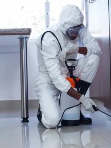 Student Accommodation Bed Bug Treatment