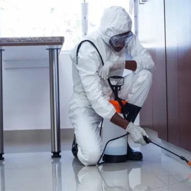 Commercial Bed Bug Treatment Leeds 4