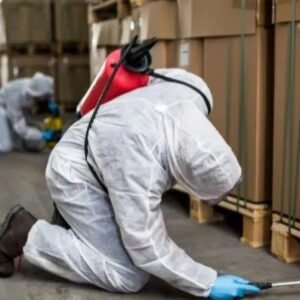 Bed Bug Heat Treatment York
