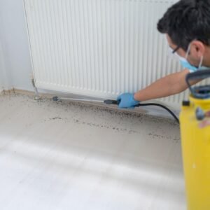 Preventative Bed Bug Control