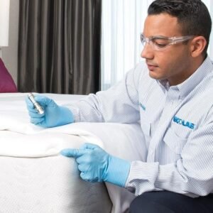 Bed Bug Inspection & Detection