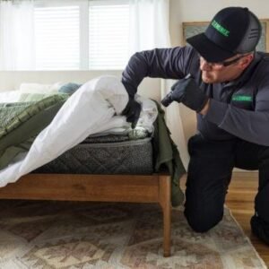 Emergency Bed Bug Heat Treatment