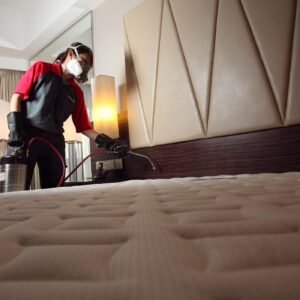 Hotel & Hospitality Bed Bug Removal