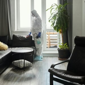 Bed Bug Heat Treatment Manchester