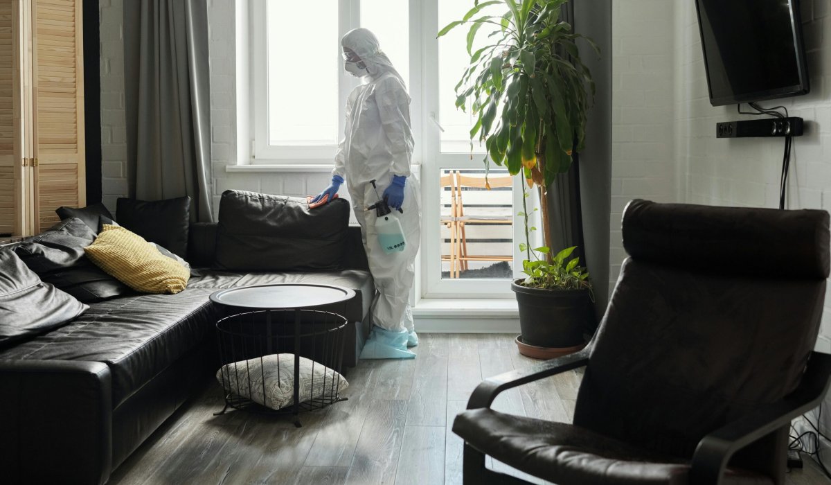 Bed Bug Heat Treatment Manchester