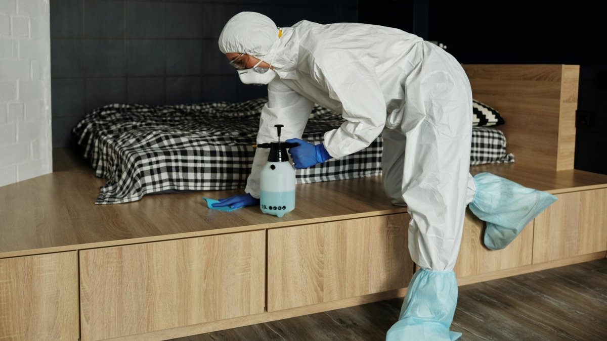 Bed Bug Heat Treatment Manchester
