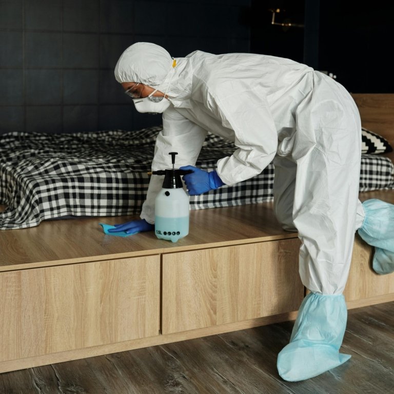 Bed Bug Heat Treatment Manchester